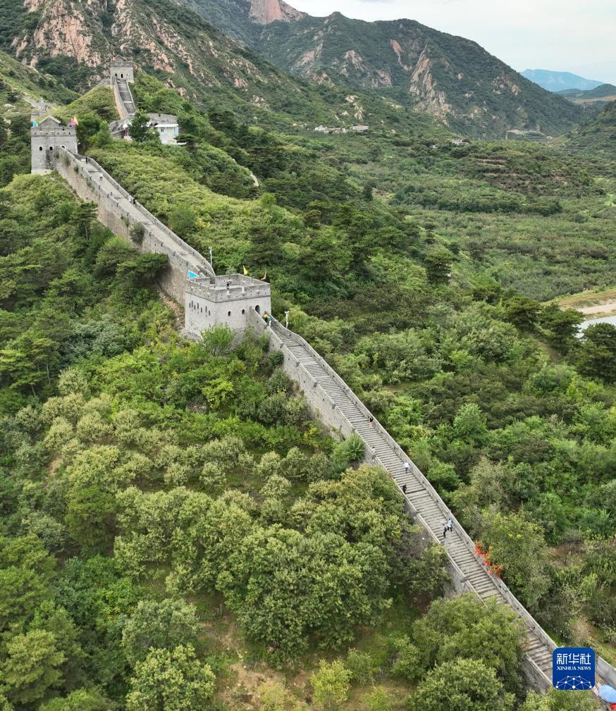 跟梅高美一样的游戏网